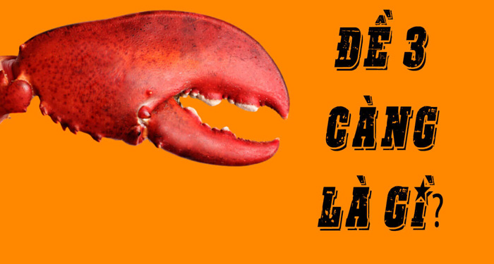 Đề 3 càng