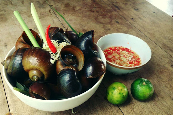 Ốc bươu