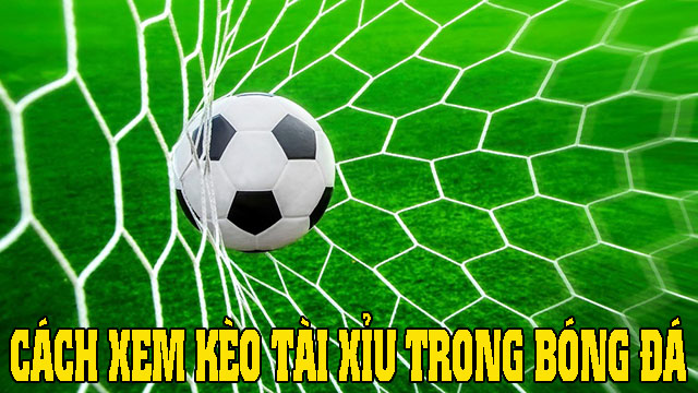 cách xem kèo tài xỉu bóng đá