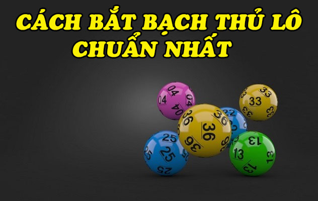 Cách bắt bạch thủ lô