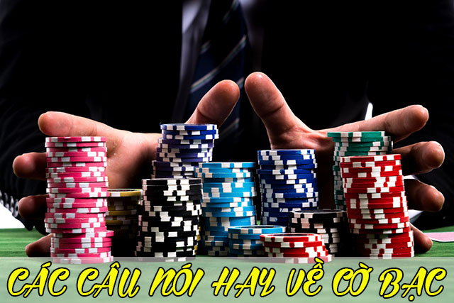 câu nói hay về cờ bạc
