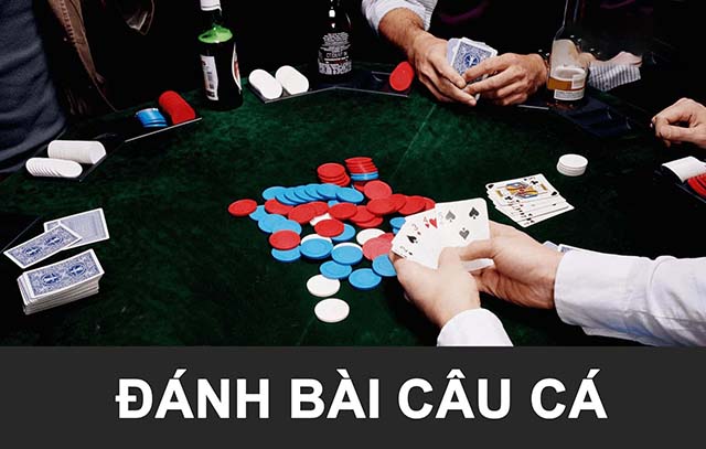 cách chơi đánh bài câu cá